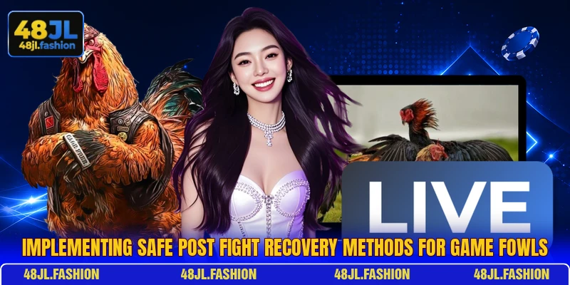 Implementing safe Post Fight Recovery methods for game fowls