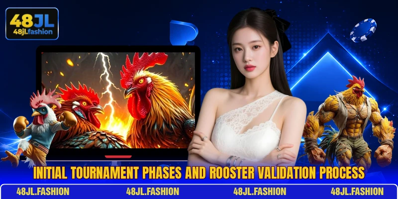 Initial tournament phases and rooster validation process