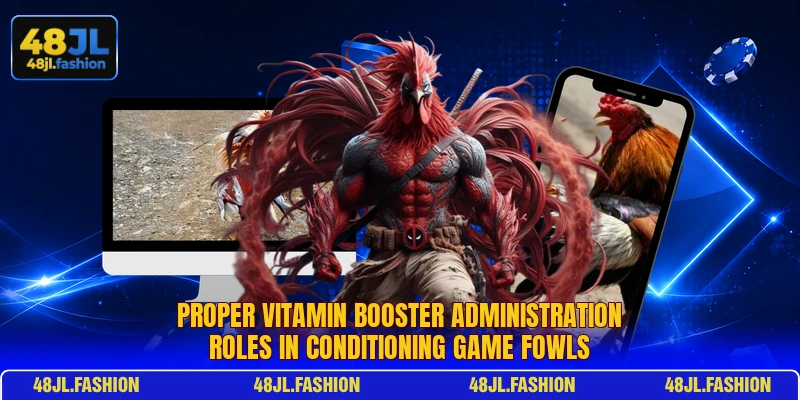 Proper Vitamin Booster administration roles in conditioning game fowls